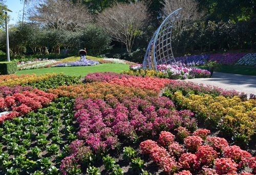 Spring Fever in the Roma Street Parkland