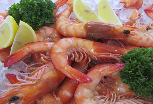 Prawns, parsley and lemon wedges on a bed of ice