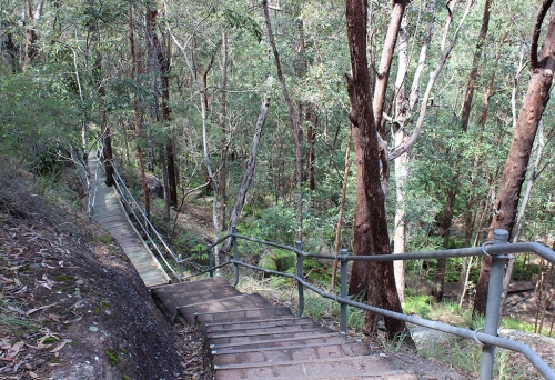 Stairs of death Springwood Conservation Park