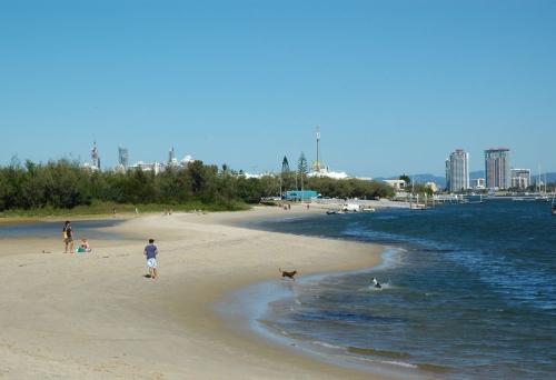 Dogs running on the beach in The Spit Off Leash Dog Beach in Southport