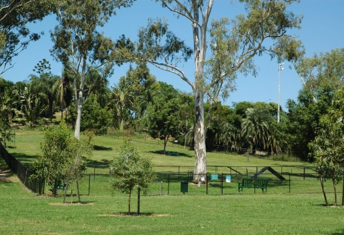 Off-leash dog park with dog obstacle course in Victoria Dog Park  Spring Hill