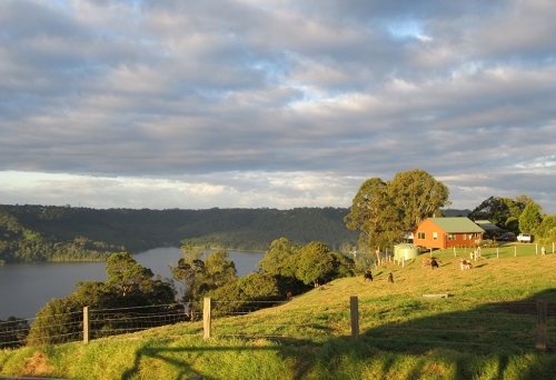 Wittacork Dairy Cottages Maleny