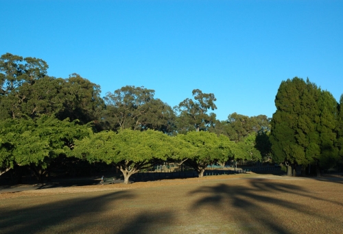Yeronga Memorial Park at sunrise