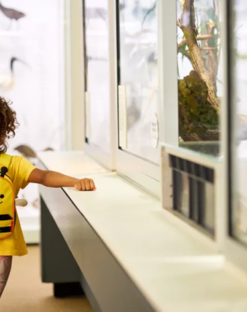 Child at Museum