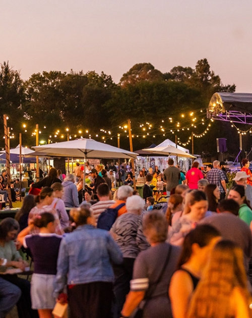 Laidley Festival crowd