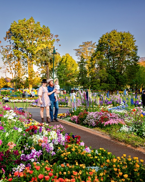 Walking in gardens 