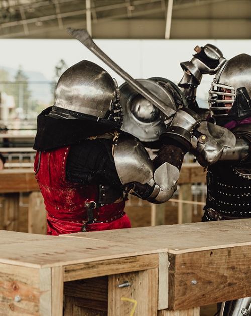 Knights at Southern Realm Festival