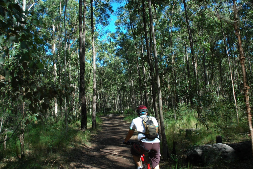Daisy Hill Conservation Park