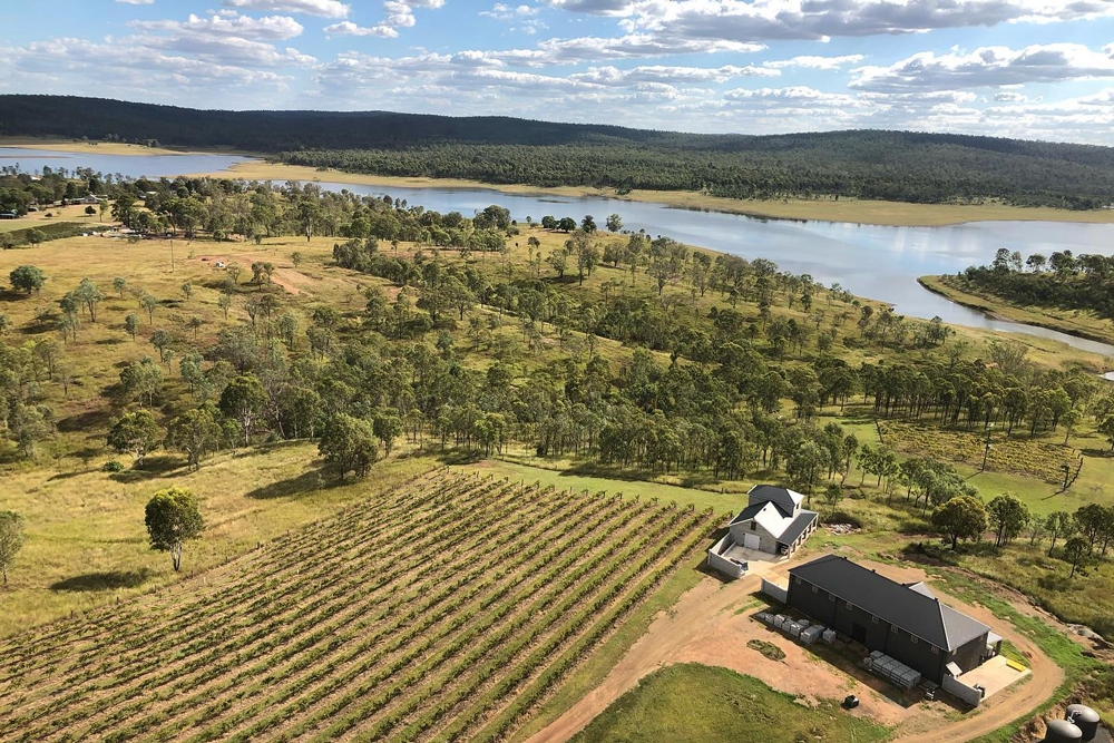 Dusty Hill Vineyard 