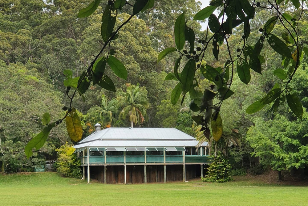 Harry's on Buderim, Buderim