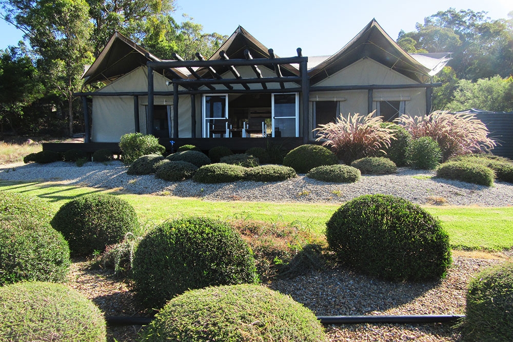 Couple with dog inside room at Alure Stanthorpe