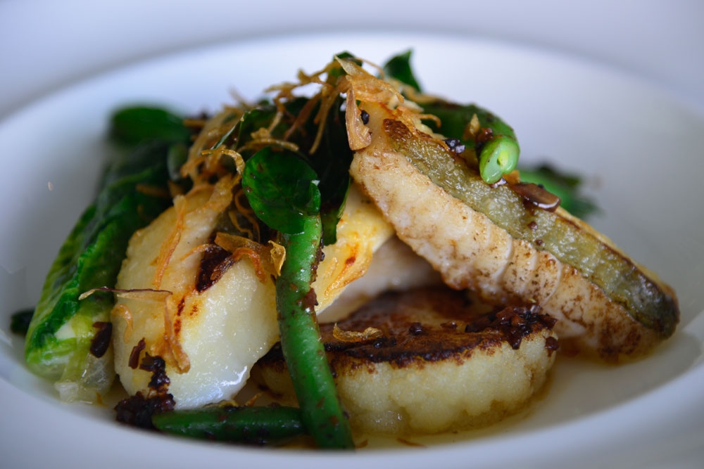 John Dory and Scallop in Blackbird Bar & Restaurant