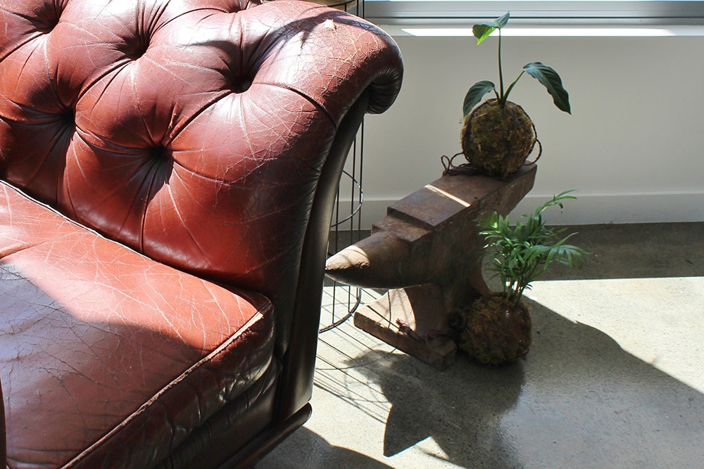 Chesterfield couch next to pot plant at Blacksmith Specialty Coffee Mt Gravatt