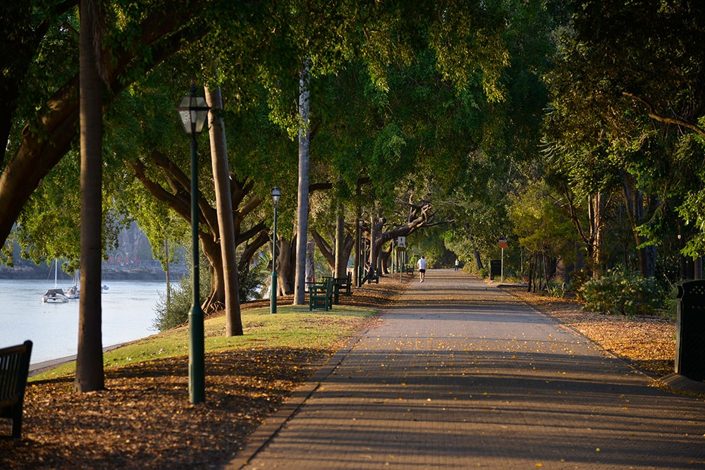 City Botanic Gardens | Brisbane Parks | Must Do Brisbane