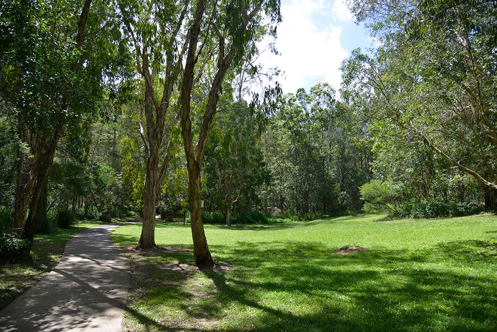 Cycling path through a forest in Cornubia Forest Park 