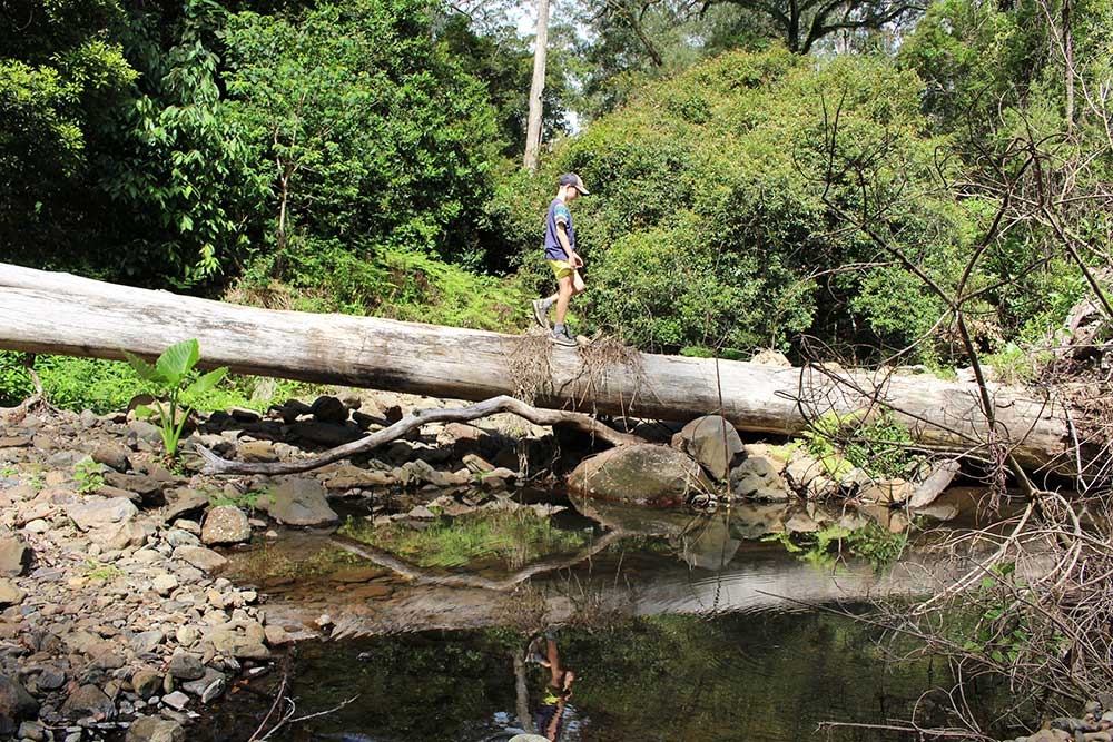 Goomburra Valley Hikes