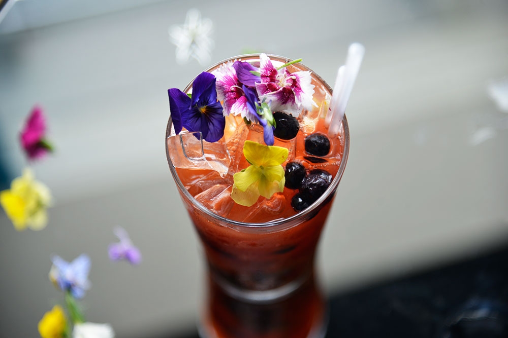 Darling and Co bar Paddington