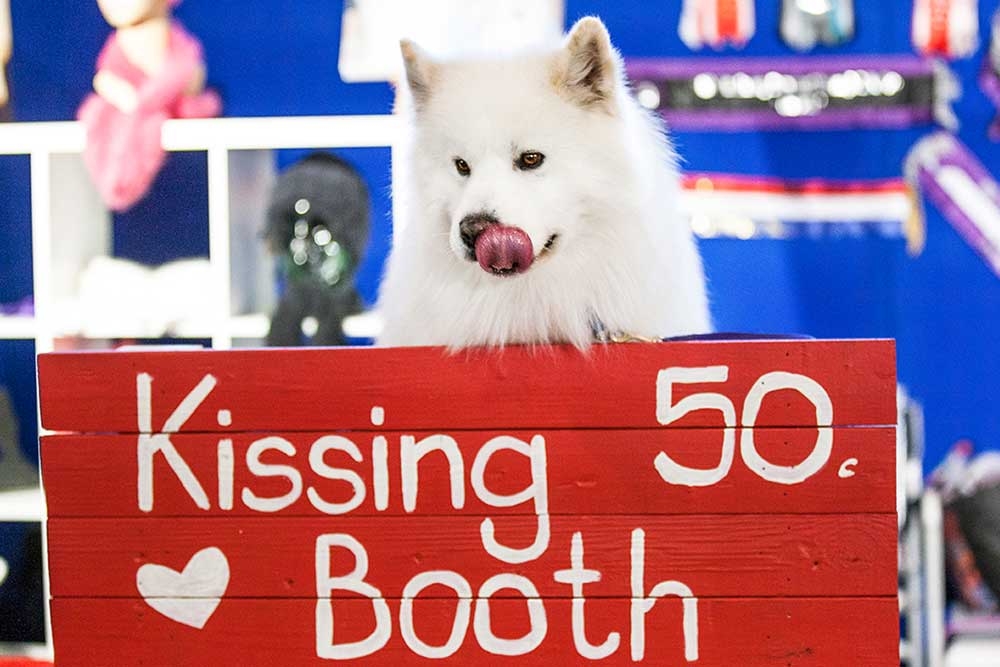 Dog Lovers Show, Brisbane