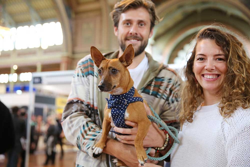Dog Lovers Show, Brisbane