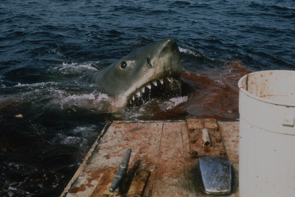 Shark scene in JAWS