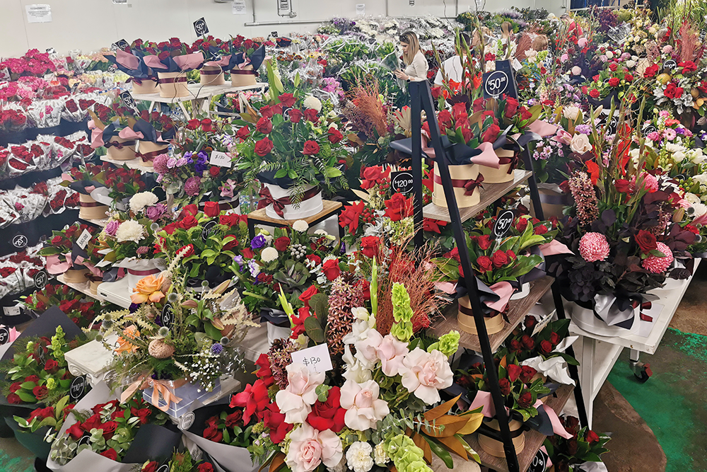 Blooms inside Brisbane Flower market