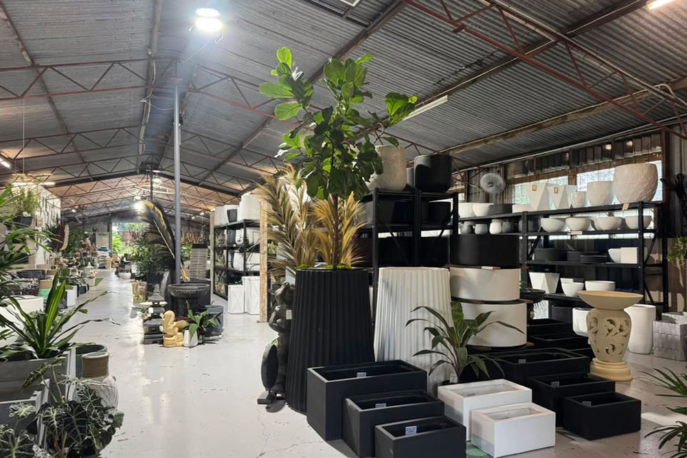 Pot plants inside Bush House Home & Garden Market