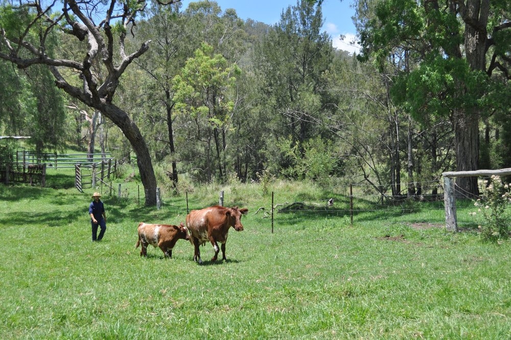 SQC Farm Stays