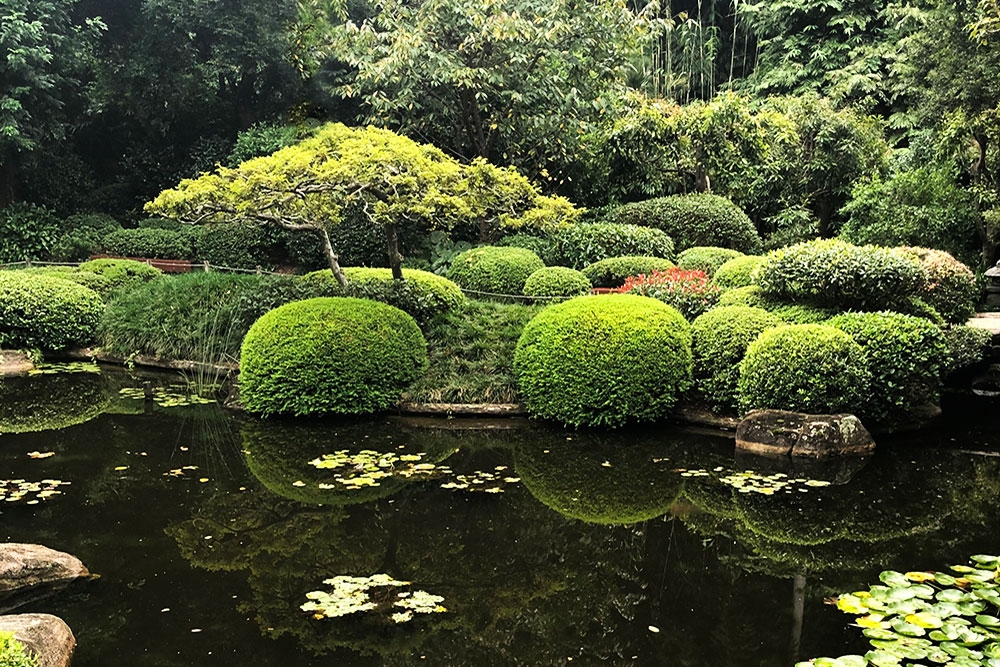area entrance the of interior of view angle Wide 　　no1 garden botanical of herb Nunobiki ダイニングチェア