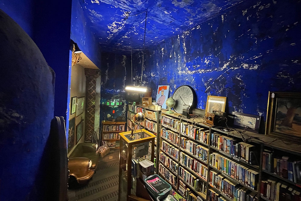 Books on shelves with blue rear wall inside The Cupboard Under The Stage, Empire Revival, Paddington