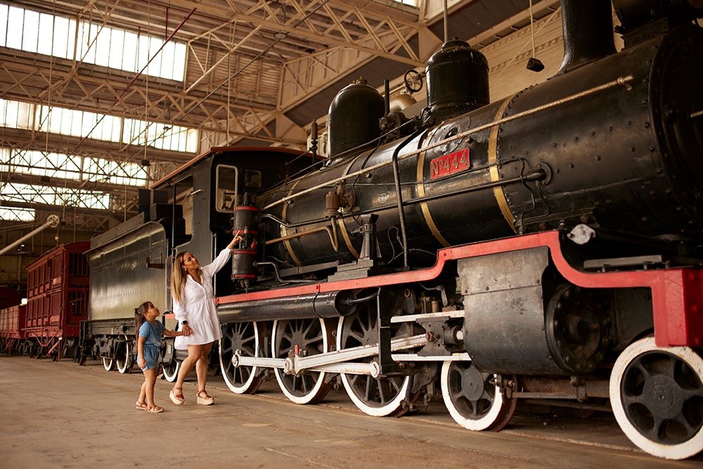 Day Out With Thomas, The Workshops Rail Museum 