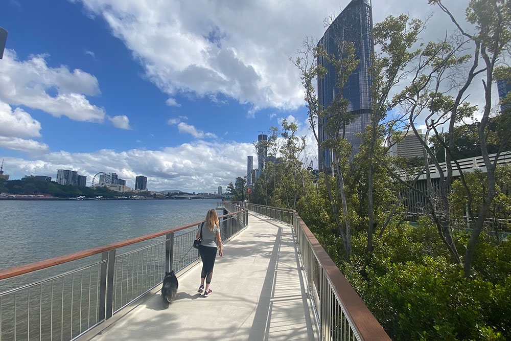 Mangrove Walk Brisbane CBD