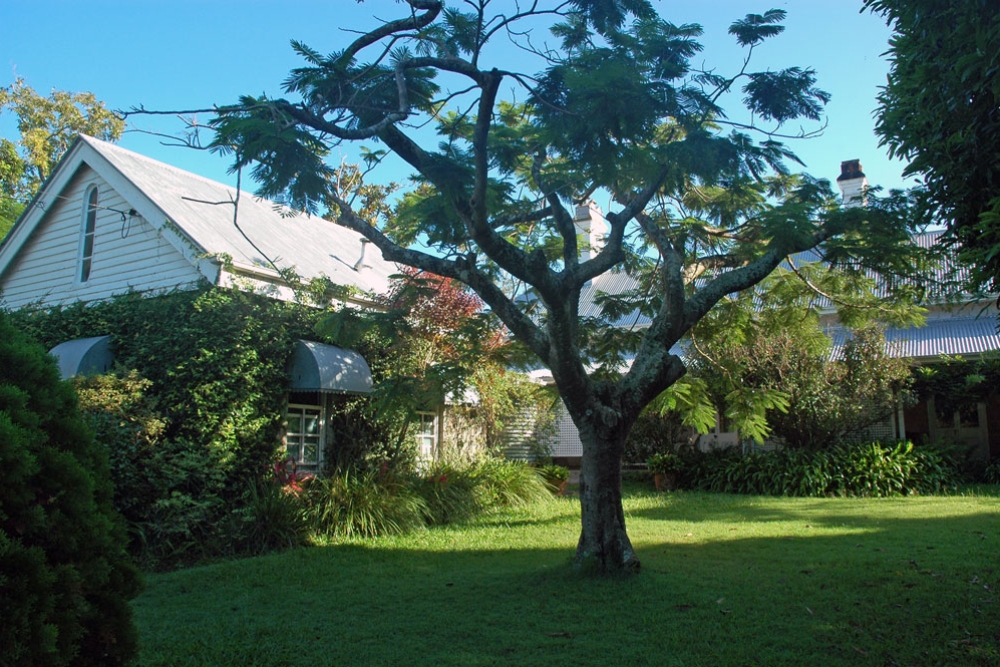 Lawns and front of Granite House