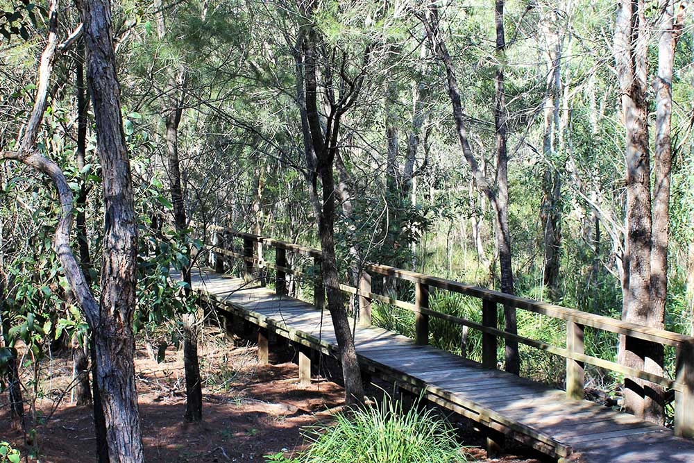 Hemmant Quarry Reserve, Hemmant