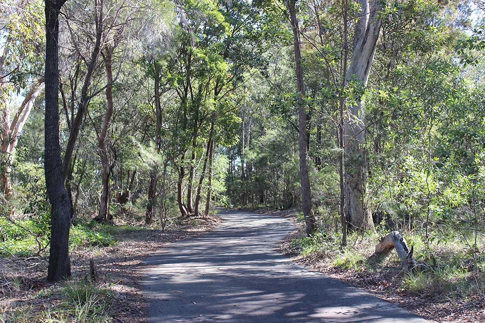 Hemmant Quarry Reserve, Hemmant