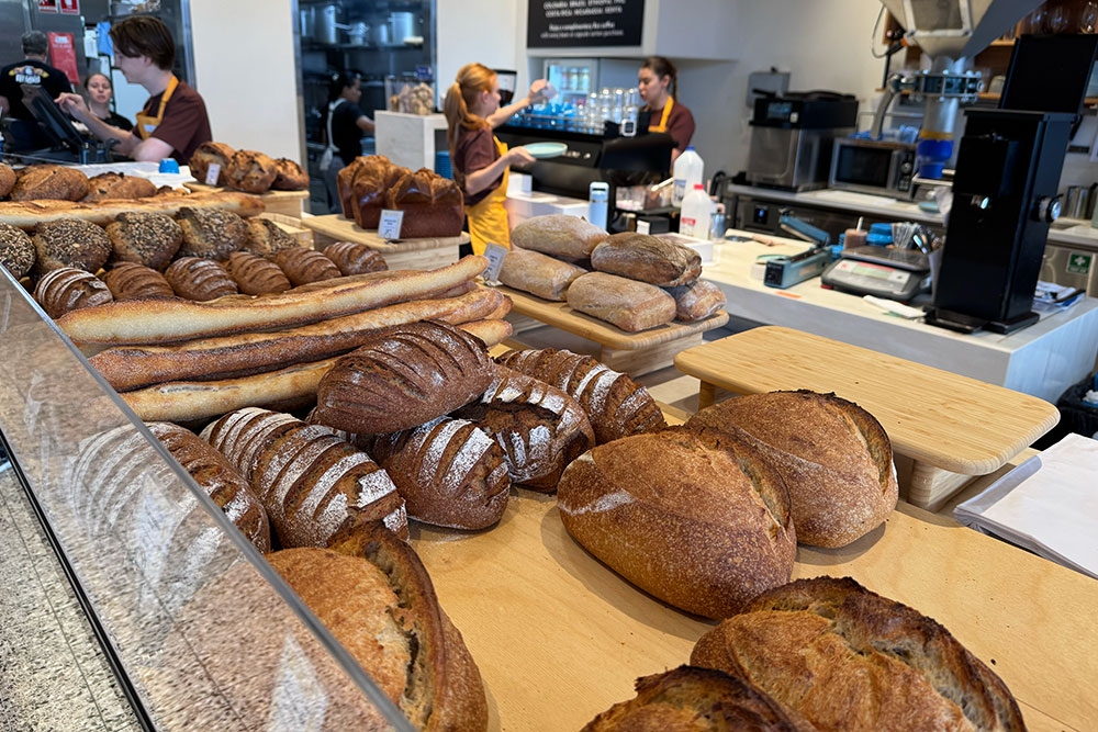 Freshly Baked Bread - Milano Bakehouse