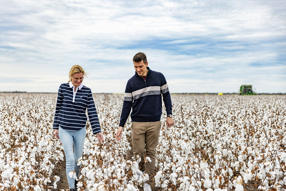 People in cotton field