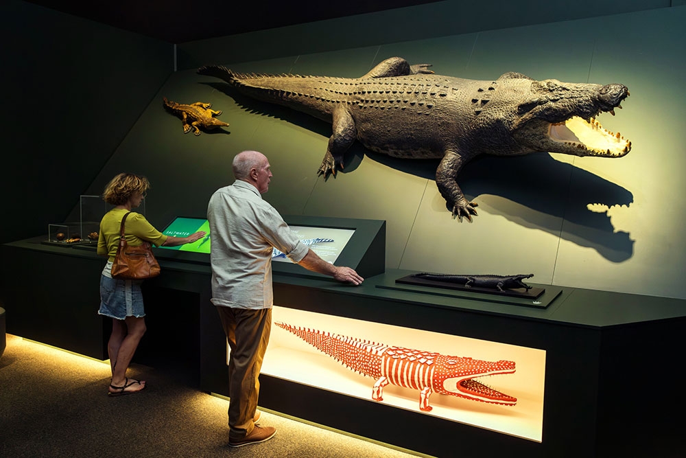 Couple looking at Croc exhibiiton
