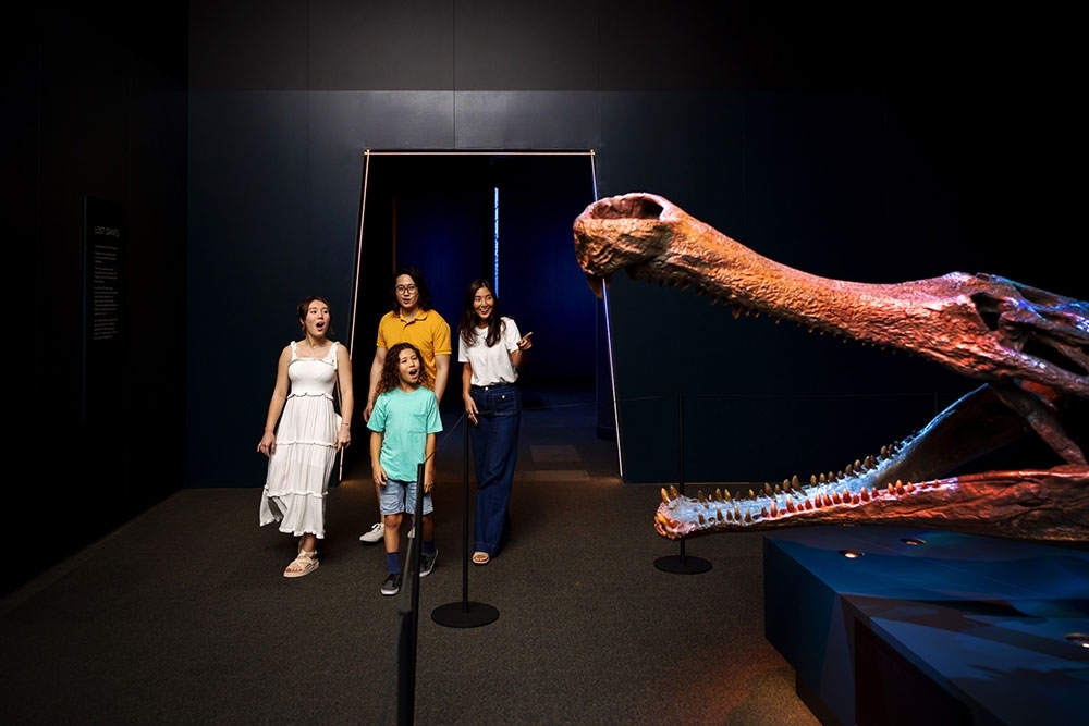 Vistors looking at crocodile exhibit