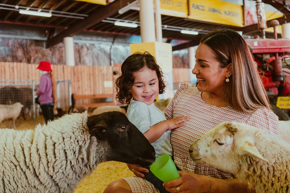 Animal Nursery Ekka Brisbane Showgrounds