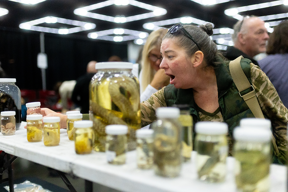 A lady staring at jars with snakes in them 