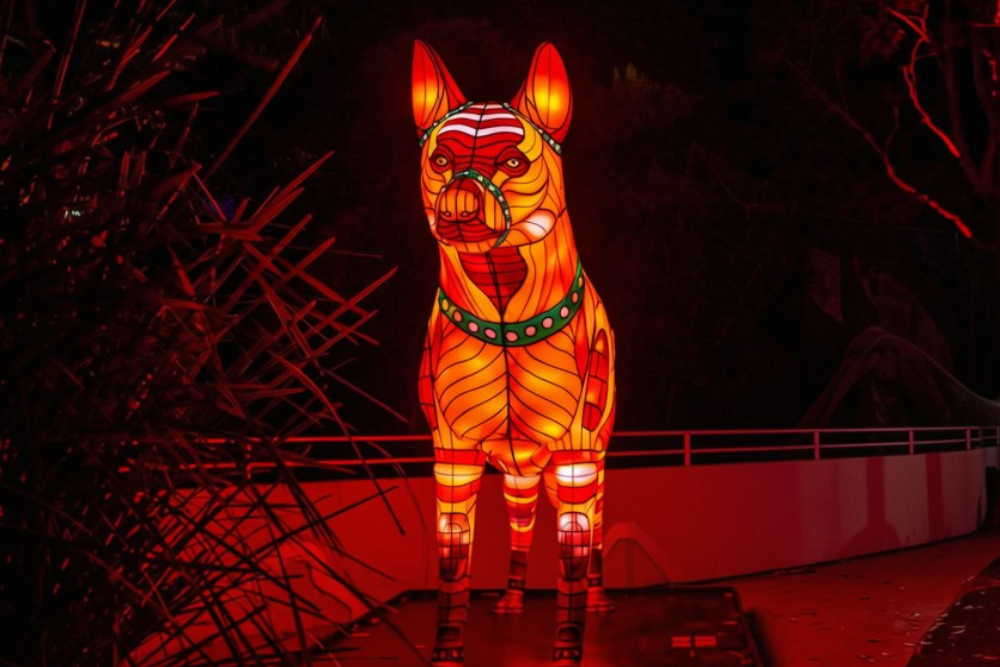 Botanic By Night: NightGlow