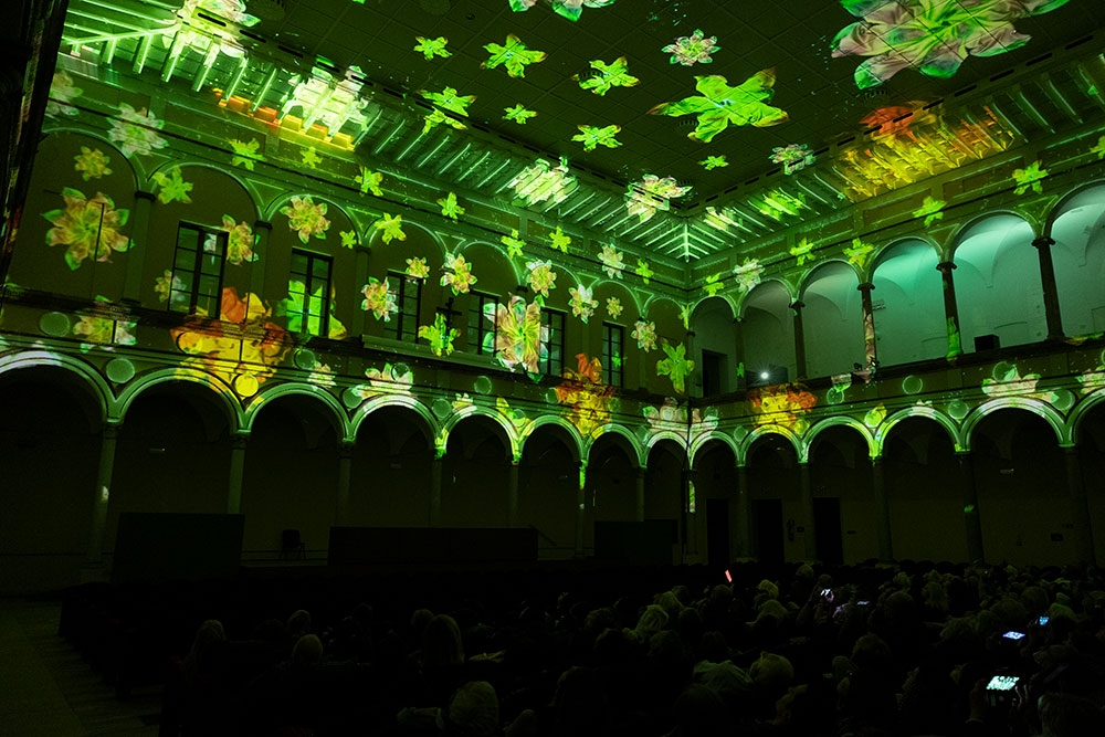 Eonarium Enlightenment St Stephen's Cathedral