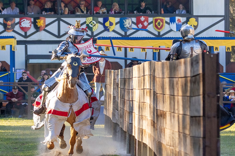 Man on horse at the Abbey Medieval Festival