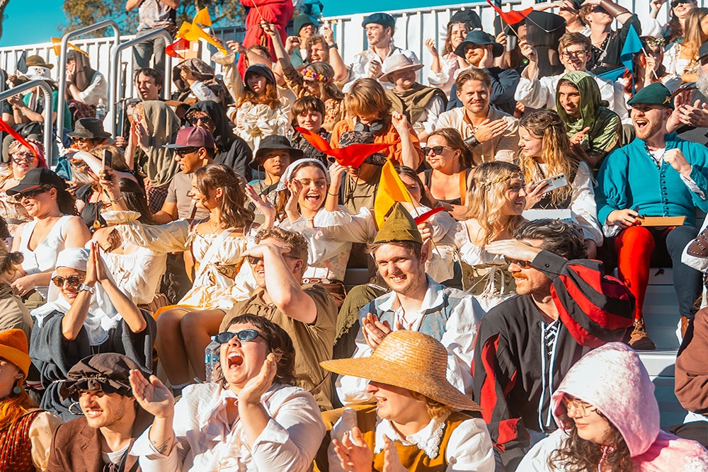 Audience at the Abbey Medieval Festival