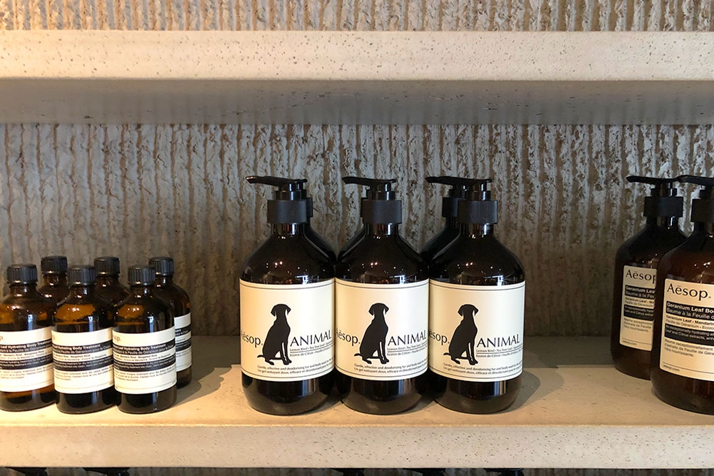 Aesop, Brisbane, Indooroopilly, Chermside, Carindale, James Street, skincare, skin care products, vegan skincare, home and body, facials, lotions, fragrances, perfume, pet-friendly, home and lifestyle products