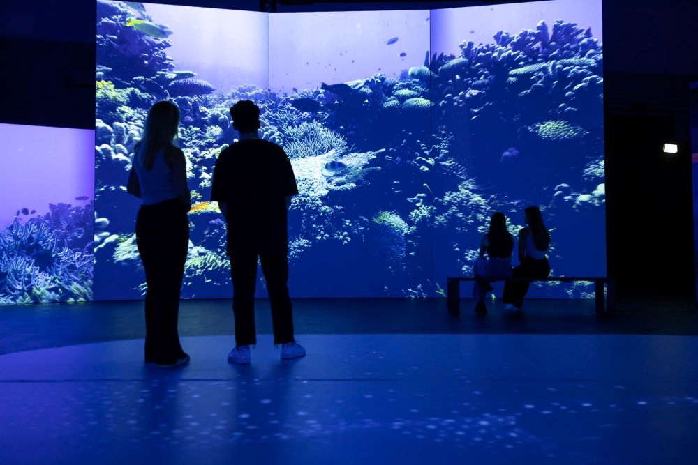 Australian Geographic: Our Country 360° Cinematic Experience 