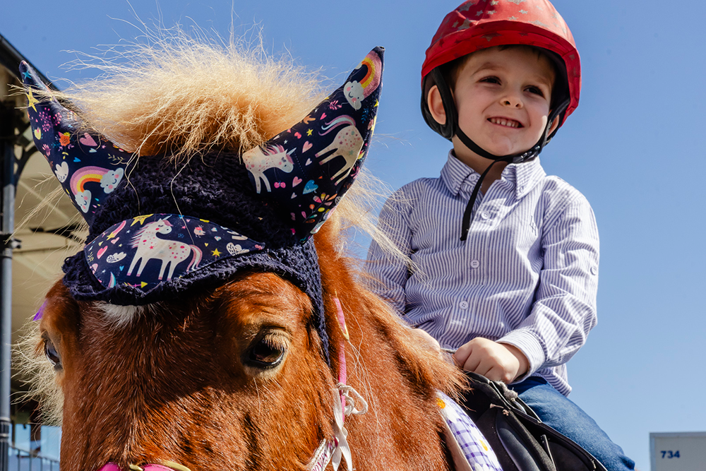 Century Pools Family Raceday Doomben Racecourse