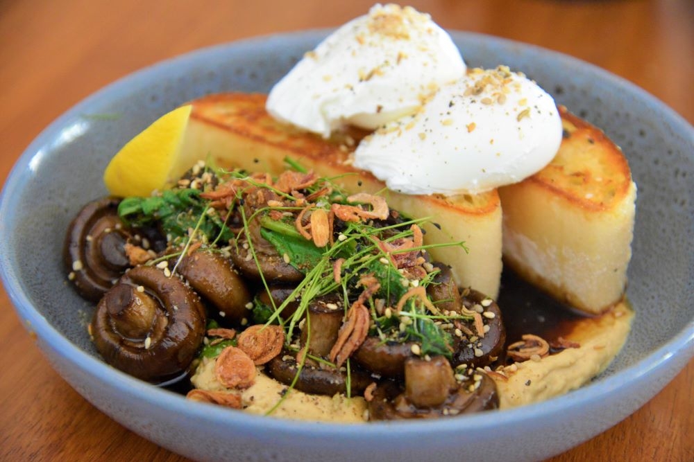 Food on a plate at Blue Bear Coffeehouse, New Farm 