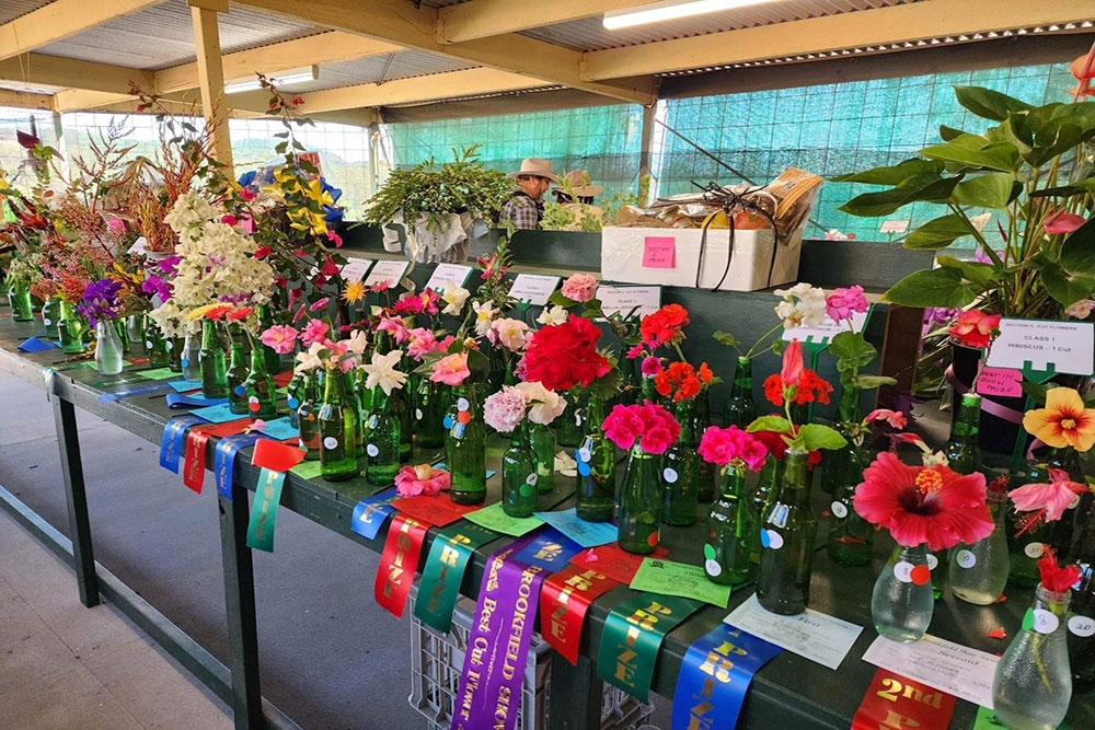 Brookfield-Show-Horticulture-flowers-and-ribbons.