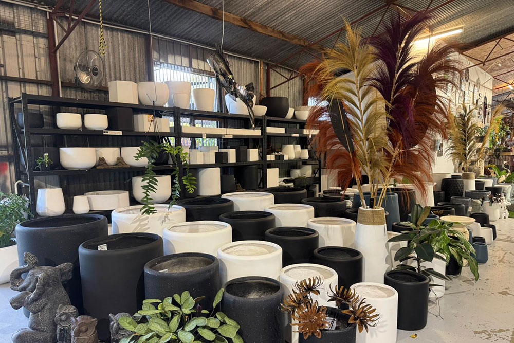 Pot plants inside Bush House Home & Garden Market